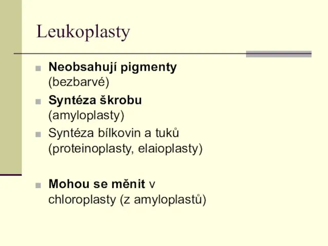 Leukoplasty Neobsahují pigmenty (bezbarvé) Syntéza škrobu (amyloplasty) Syntéza bílkovin a