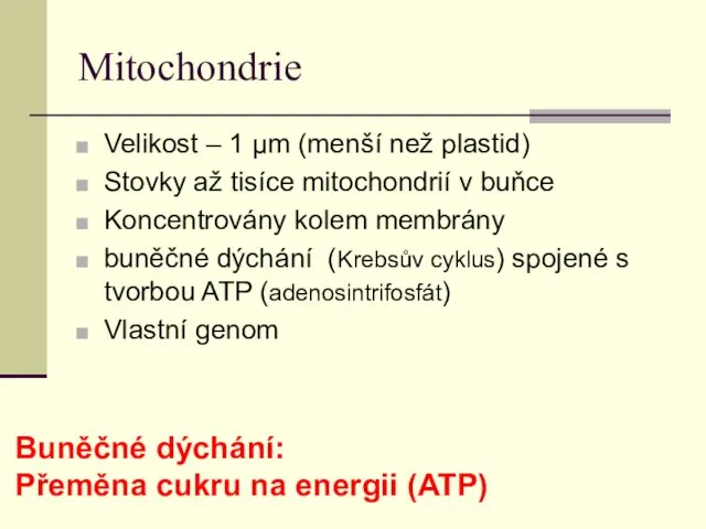 Mitochondrie Velikost – 1 µm (menší než plastid) Stovky až