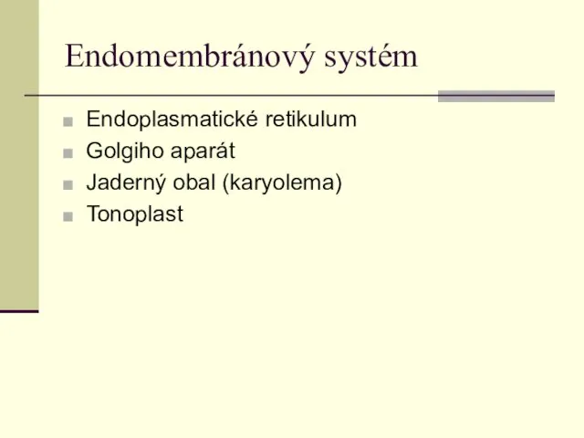 Endomembránový systém Endoplasmatické retikulum Golgiho aparát Jaderný obal (karyolema) Tonoplast