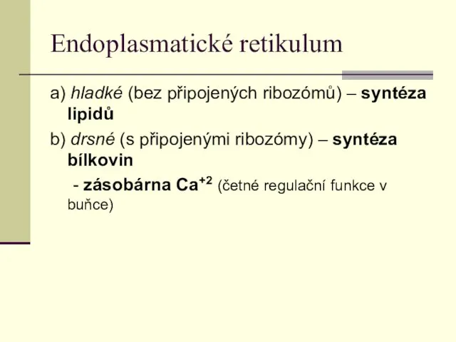Endoplasmatické retikulum a) hladké (bez připojených ribozómů) – syntéza lipidů