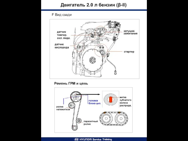 Двигатель 2.0 л бензин (β-II) Ремень ГРМ и цепь F Вид сзади