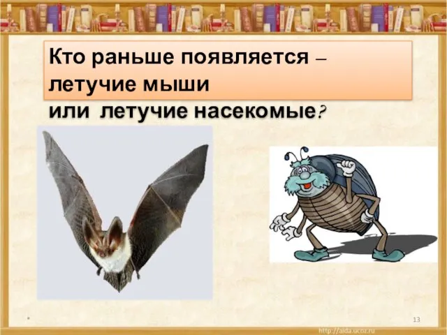 * Кто раньше появляется – летучие мыши или летучие насекомые?