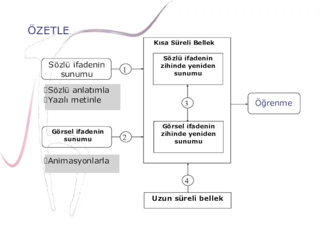 ÖZETLE