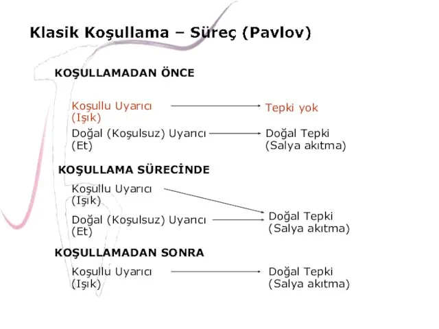 KOŞULLAMADAN ÖNCE Tepki yok Koşullu Uyarıcı (Işık) KOŞULLAMA SÜRECİNDE KOŞULLAMADAN SONRA Doğal (Koşulsuz)