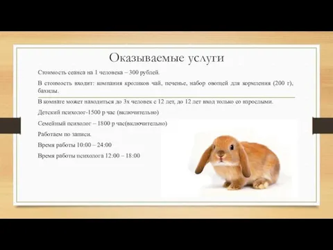 Оказываемые услуги Стоимость сеанса на 1 человека – 300 рублей.