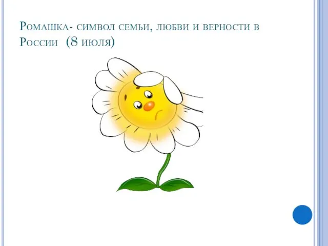 Ромашка- символ семьи, любви и верности в России (8 июля)