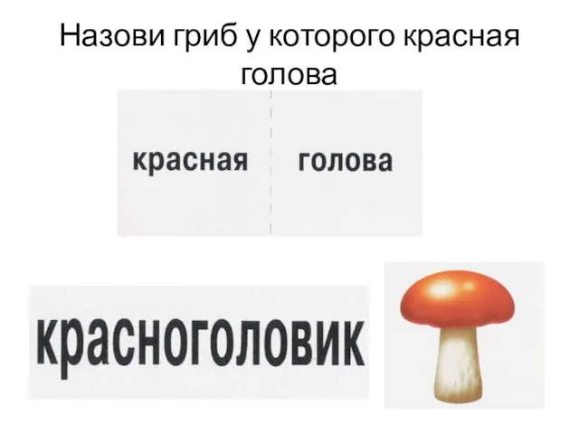 Назови гриб у которого красная голова