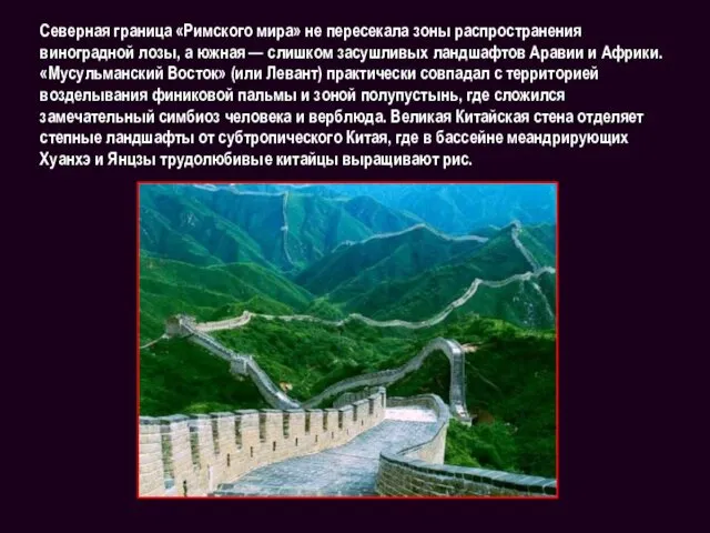 Северная граница «Римского мира» не пересекала зоны распространения виноградной лозы,