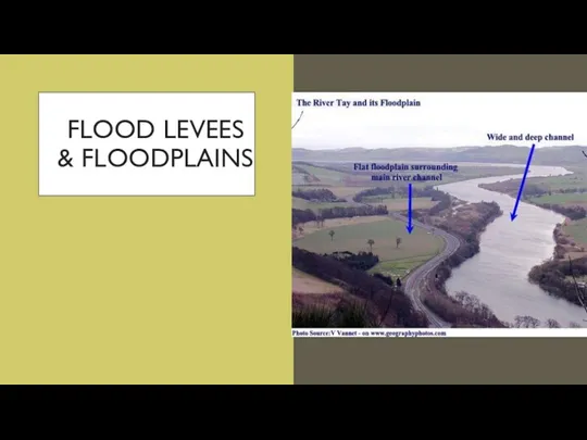 FLOOD LEVEES & FLOODPLAINS