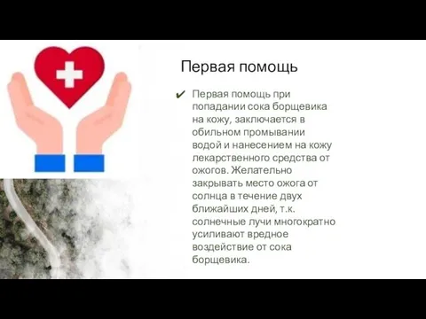 Первая помощь Первая помощь при попадании сока борщевика на кожу,