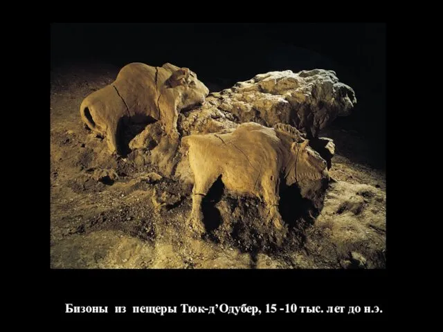 Бизоны из пещеры Тюк-д’Одубер, 15 -10 тыс. лет до н.э.