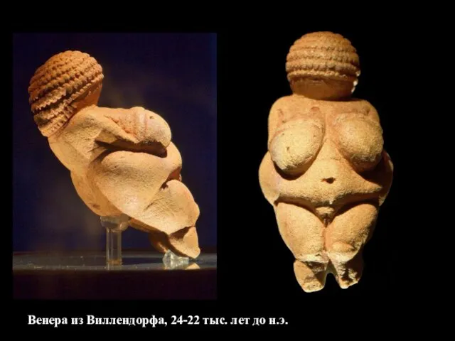 Венера из Виллендорфа, 24-22 тыс. лет до н.э.