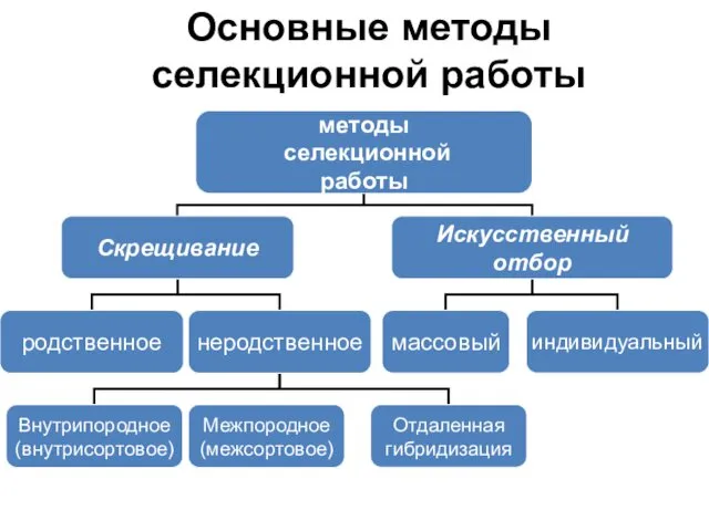 Основные методы селекционной работы