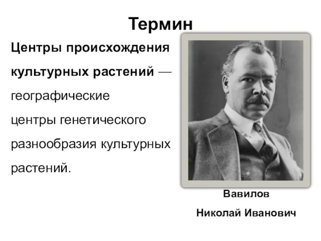 Вавилов Николай Иванович Термин Центры происхождения культурных растений — географические центры генетического разнообразия культурных растений.