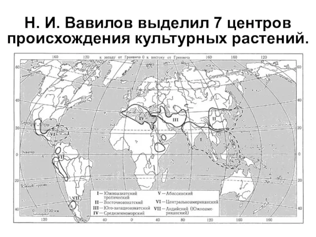 Н. И. Вавилов выделил 7 центров происхождения культурных растений.