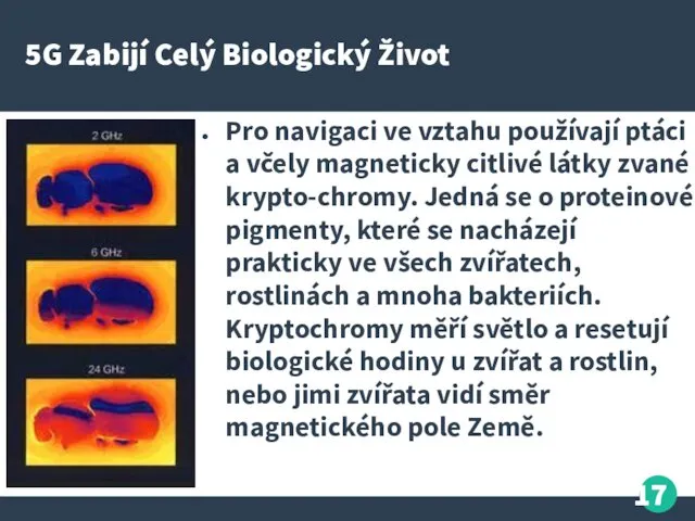 5G Zabijí Celý Biologický Život Pro navigaci ve vztahu používají