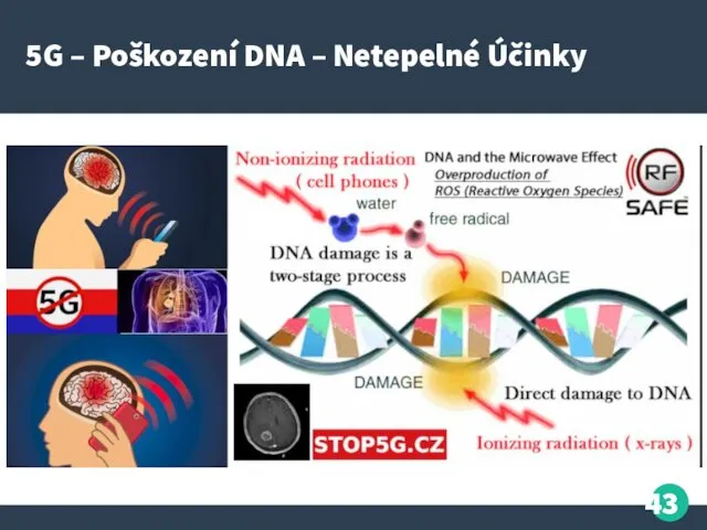 5G – Poškození DNA – Netepelné Účinky