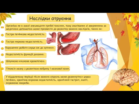 Порушення роботи серця аж до зупинки. Наслідки отруєння Організм не