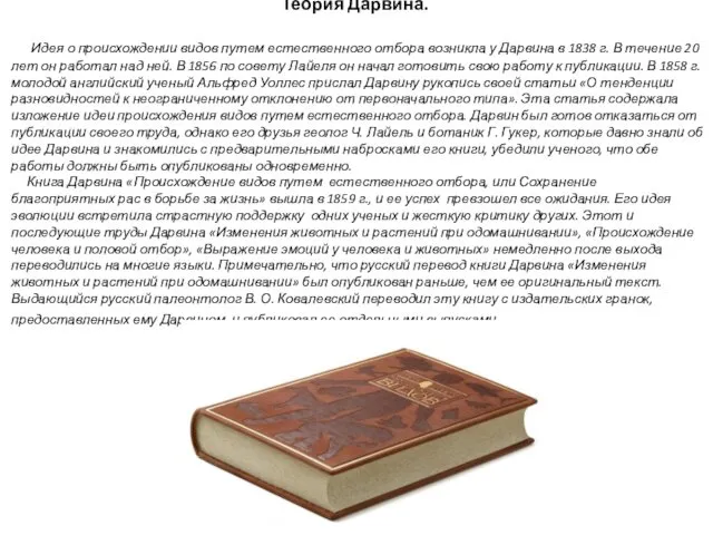 Теория Дарвина. Идея о происхождении видов путем естественного отбора возникла