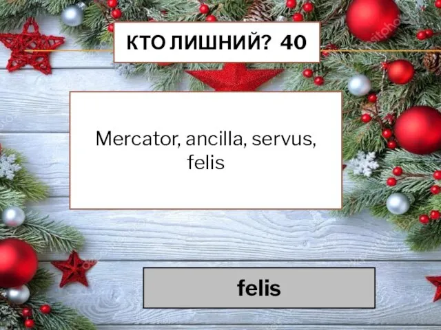 КТО ЛИШНИЙ? 40 Mercator, ancilla, servus, felis felis