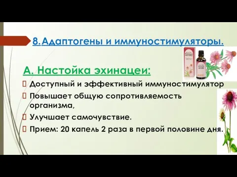 8. Адаптогены и иммуностимуляторы. А. Настойка эхинацеи: Доступный и эффективный