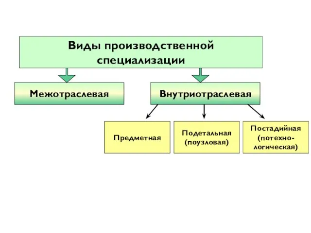 Внутриотраслевая Предметная Виды производственной специализации Межотраслевая Подетальная (поузловая) Постадийная (потехно-логическая)