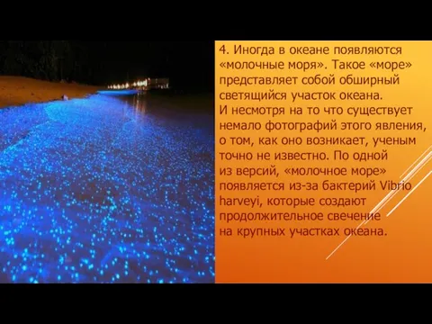 4. Иногда в океане появляются «молочные моря». Такое «море» представляет