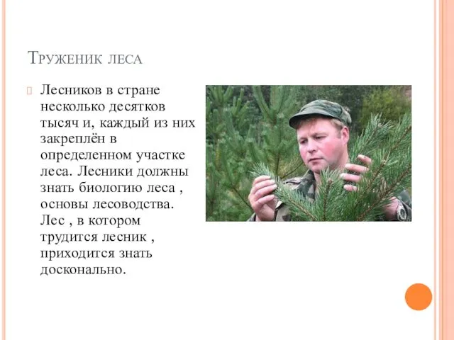 Труженик леса Лесников в стране несколько десятков тысяч и, каждый