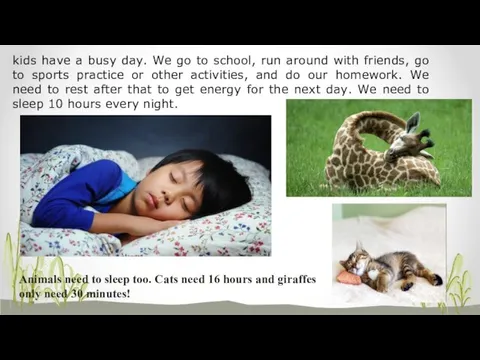 Animals need to sleep too. Cats need 16 hours and giraffes only need