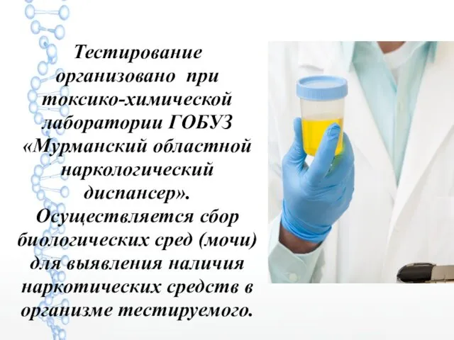 Тестирование организовано при токсико-химической лаборатории ГОБУЗ «Мурманский областной наркологический диспансер».