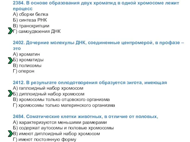 2384. В основе образования двух хроматид в одной хромосоме лежит