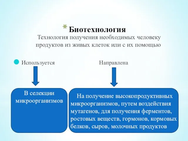 Биотехнология Технология получения необходимых человеку продуктов из живых клеток или