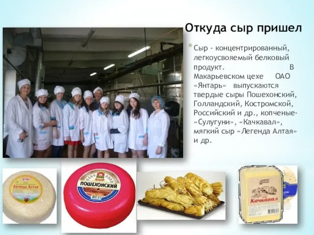 Откуда сыр пришел Сыр - концентрированный, легкоусвояемый белковый продукт. В