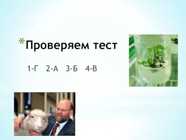 Проверяем тест 1-Г 2-А 3-Б 4-В