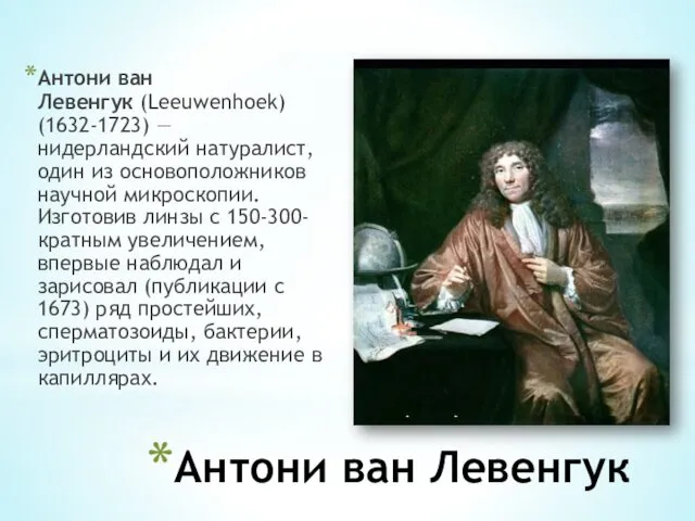 Антони ван Левенгук Антони ван Левенгук (Leeuwenhoek) (1632-1723) — нидерландский