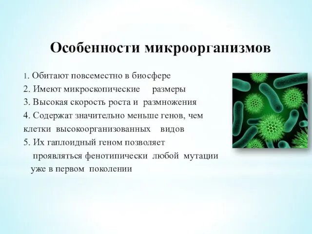 Особенности микроорганизмов 1. Обитают повсеместно в биосфере 2. Имеют микроскопические