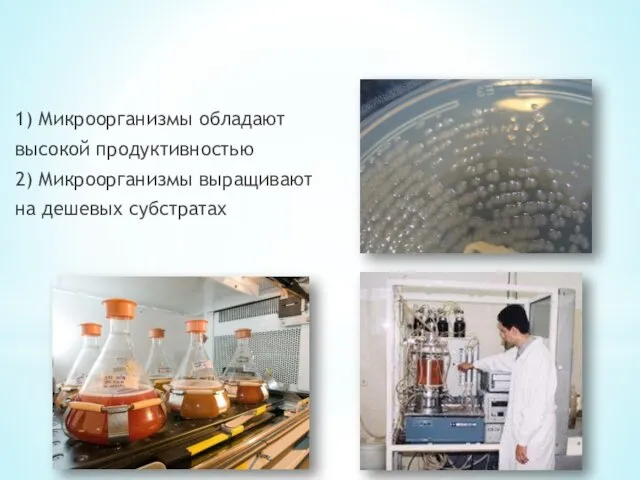 1) Микроорганизмы обладают высокой продуктивностью 2) Микроорганизмы выращивают на дешевых субстратах