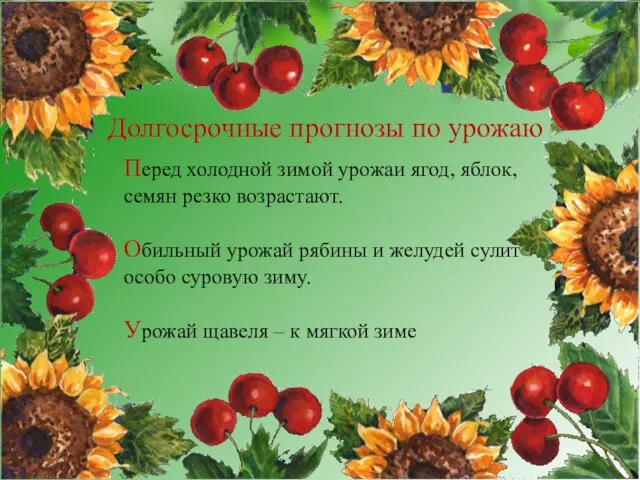 Долгосрочные прогнозы по урожаю Перед холодной зимой урожаи ягод, яблок,