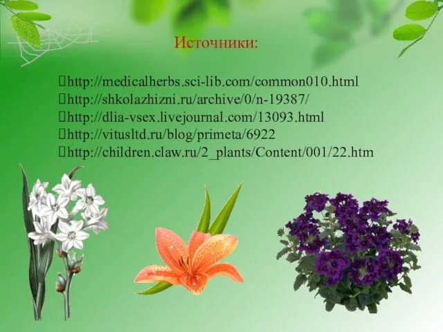 http://medicalherbs.sci-lib.com/common010.html http://shkolazhizni.ru/archive/0/n-19387/ http://dlia-vsex.livejournal.com/13093.html http://vitusltd.ru/blog/primeta/6922 http://children.claw.ru/2_plants/Content/001/22.htm Источники: