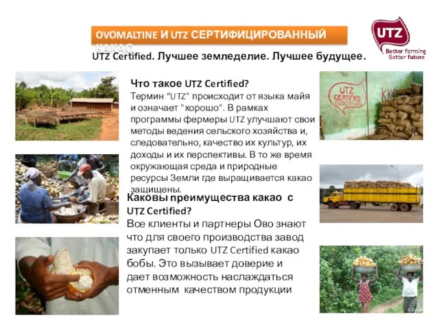 OVOMALTINE И UTZ СЕРТИФИЦИРОВАННЫЙ КАКАО UTZ Certified. Лучшее земледелие. Лучшее