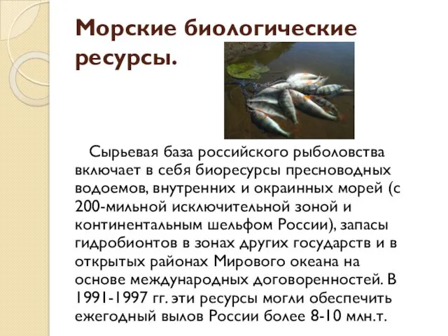 Морские биологические ресурсы. Сырьевая база российского рыболовства включает в себя