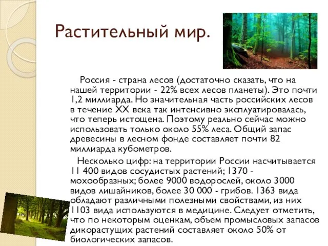 Растительный мир. Россия - страна лесов (достаточно сказать, что на