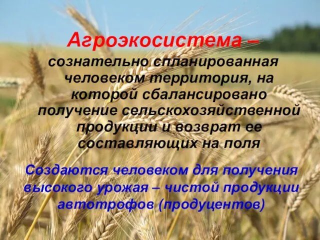 Агроэкосистема – сознательно спланированная человеком территория, на которой сбалансировано получение