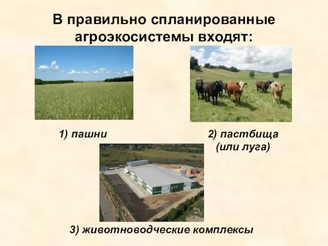 В правильно спланированные агроэкосистемы входят: 1) пашни 3) животноводческие комплексы 2) пастбища (или луга)