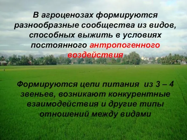 В агроценозах формируются разнообразные сообщества из видов, способных выжить в