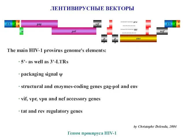 Геном провируса HIV-1 by Christophe Delenda, 2004 ЛЕНТИВИРУСНЫЕ ВЕКТОРЫ