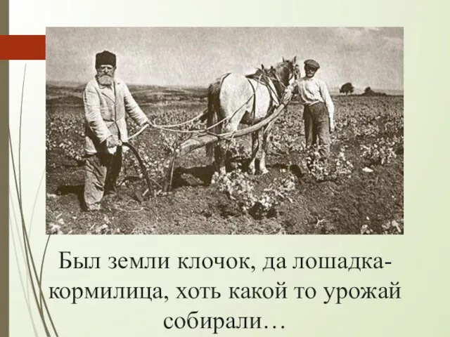 Был земли клочок, да лошадка- кормилица, хоть какой то урожай собирали…