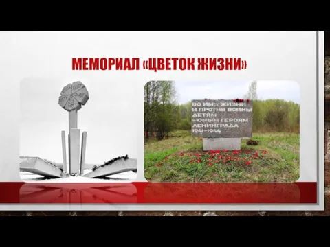 МЕМОРИАЛ «ЦВЕТОК ЖИЗНИ»