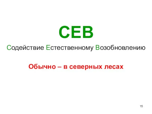 СЕВ Содействие Естественному Возобновлению Обычно – в северных лесах