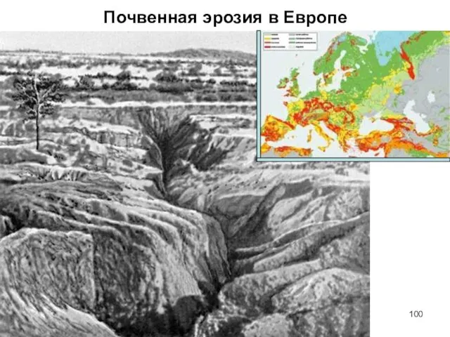 Почвенная эрозия в Европе